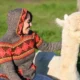 Alpaca Wool Pullovers