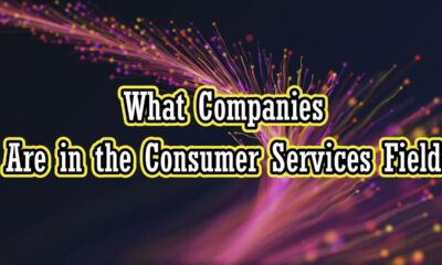 Consumer Services